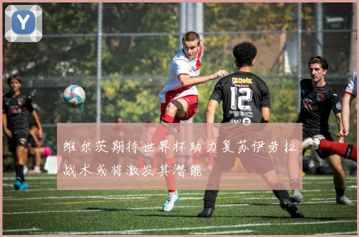 维尔茨期待世界杯助力复苏伊劳拉战术或将激发其潜能